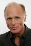 500 actores. Adivina el actor. Juego de cine. Ed Harris